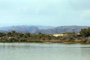 Ön planda gölcükler, arka planda bitki örtüsü ve dağlar, Maspalomalar, Güney Gran Kanaryası, İspanya