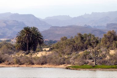 Ön planda gölcükler, arka planda bitki örtüsü ve dağlar, Maspalomalar, Güney Gran Kanaryası, İspanya