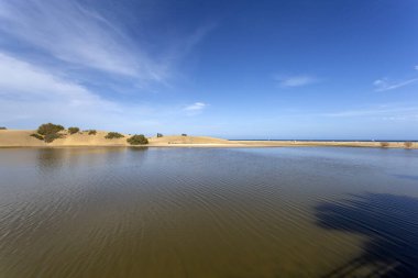 Ön planda gölcükler, arka planda bitki örtüsü ve dağlar, Maspalomalar, Güney Gran Kanaryası, İspanya