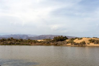 Ön planda gölcükler, arka planda bitki örtüsü ve dağlar, Maspalomalar, Güney Gran Kanaryası, İspanya
