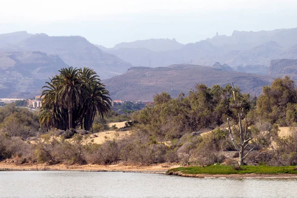 Ön planda gölcükler, arka planda bitki örtüsü ve dağlar, Maspalomalar, Güney Gran Kanaryası, İspanya