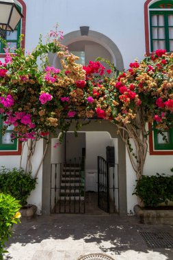 Porto de Mogan, Gran Kanarya, Kanarya Adaları, İspanya 'nın ünlü beyaz binaları.