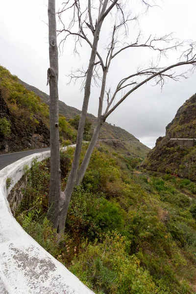 スペイン グラン カナリア島の山岳道路 — ストック写真