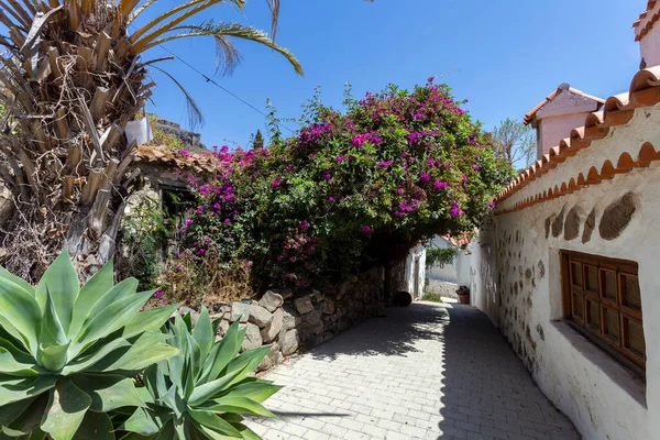 Casas Brancas Aldeia Fataga Gran Canaria Dia Ensolarado — Fotografia de Stock