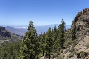 Gran Kanarya Dağları Roque Nublo 'nun kayalarından (Bulutlardaki Kaya)).