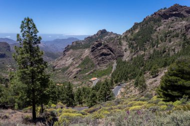 Gran Kanarya Dağları Roque Nublo 'nun kayalarından (Bulutlardaki Kaya)).