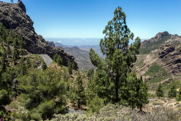 Gran Canarias Berg Med Utsikt Över Klipporna Roque Nublo Klippa — Stockfoto