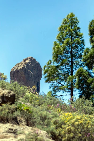 Der Roque Nublo Felsen Den Wolken Auf Gran Canaria Spanien — Stockfoto