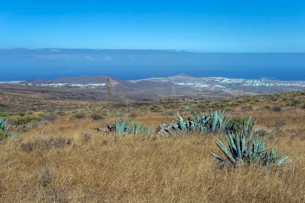 Ödelagt Landskap Gran Canarias Östra Strand Spanien Sommardag — Stockfoto