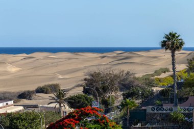 Maspalomalar 'daki tatil daireleri, arka planda kum tepeleri olan Büyük Kanarya.