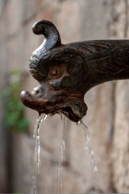 Floransa, İtalya 'da eski bir su kaynağı.