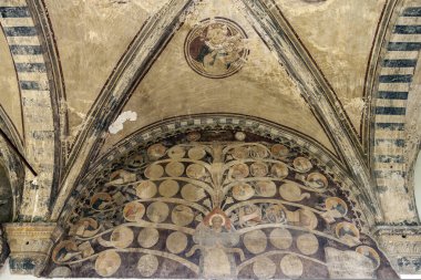 İtalya, Floransa 'da Santa Maria Novella Kilisesi' nin avlusunda..