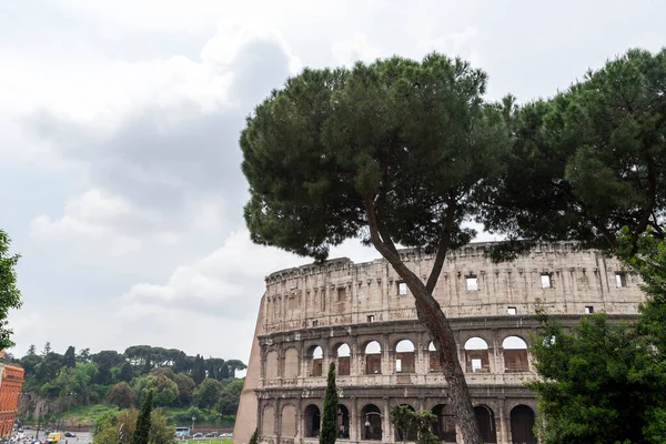 Κολοσσαίο Μια Συννεφιασμένη Καλοκαιρινή Μέρα Στη Ρώμη Ιταλία Κολοσσαίο Είναι — Φωτογραφία Αρχείου