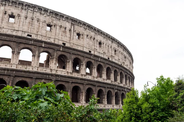 イタリアのローマで曇りの夏の日にコロッセオ コロッセオはローマの中心部にある楕円形の円形劇場で ローマフォーラムのすぐ東にあります — ストック写真