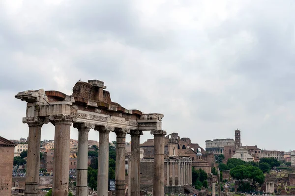 Ρωμαϊκό Φόρουμ Forum Romanum Είναι Ένας Αρχαιολογικός Χώρος Της Ρώμης — Φωτογραφία Αρχείου