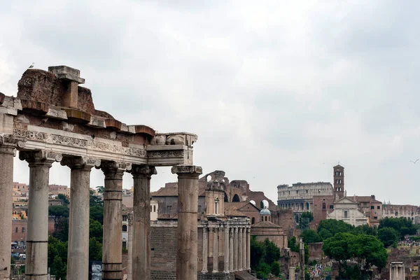 Ρωμαϊκό Φόρουμ Forum Romanum Είναι Ένας Αρχαιολογικός Χώρος Της Ρώμης — Φωτογραφία Αρχείου