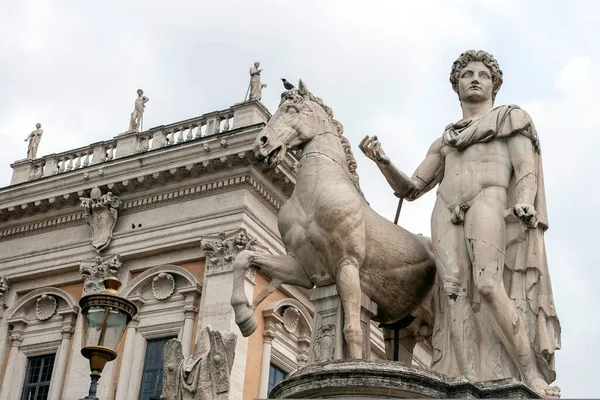 Statua Del Castore Piazza Campidoglio Roma — Foto Stock