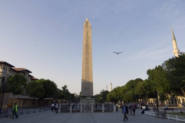 İstanbul, Türkiye - 8 Haziran 2014: Theodosius 'un Obelisk' i bir yaz gününde İstanbul 'da.