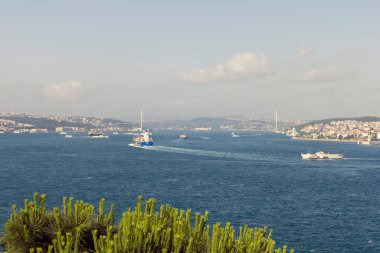 İstanbul 'un arka planında bir yaz günü İstanbul Boğaz Köprüsü manzarası.
