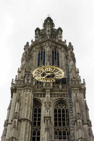 Antwerpen Belgien Juni 2013 Der Turm Der Liebfrauenkathedrale Antwerpen Einem — Stockfoto