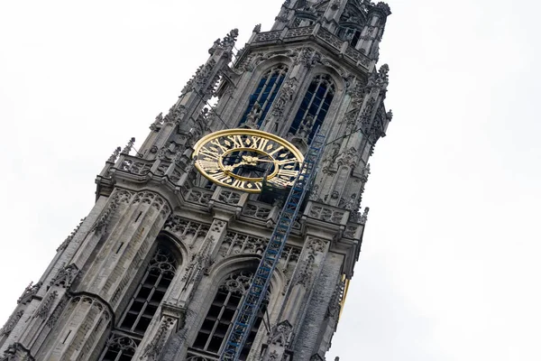 Antwerpen Belgien Juni 2013 Der Turm Der Liebfrauenkathedrale Antwerpen Einem — Stockfoto