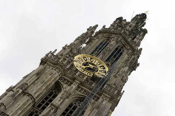 Bir Yaz Günü Antwerp Teki Meryem Ana Katedrali Nin Kulesi — Stok fotoğraf