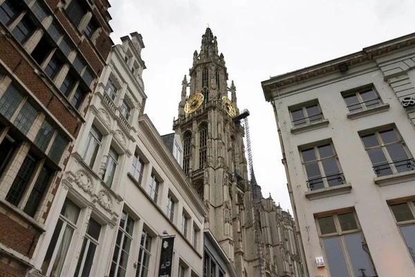 Der Turm Der Liebfrauenkathedrale Antwerpen Einem Sommertag — Stockfoto