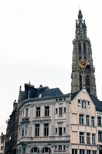 Tower Cathedral Our Lady Antwerp Summer Day — Stock Photo, Image