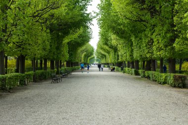 Viyana, Avusturya - 20 Nisan 2014: Güneşli bir günde Viyana 'daki Schonbrunn Sarayı' nın bahçesi. Saray, Habsburg hükümdarlarının Hietzing, Viyana 'daki ana yazlık eviydi..
