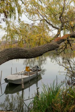 Huzurlu bir manzara, su kenarındaki tahta direklere bağlı küçük bir tekne gösteriyor. Renkli sonbahar yaprakları ağaçtan sarkan, durgun su yüzeyine yansıyan.
