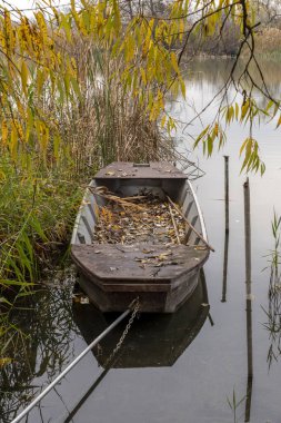 Yıpranmış bir tekne, sazlıklar ve canlı sonbahar yapraklarıyla çevrili sakin sularda sessizce oturur. Huzur ortamı sonbaharda doğanın güzelliğini yakalar..