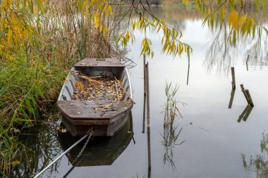 Yıpranmış bir tekne, bir direğe demirlenmiş dingin bir gölde sessizce dinlenir. Durgun su çevreyi sararken, yumuşak sonbahar yaprakları aşağıya doğru süzülür ve huzur verici bir manzara yaratır..