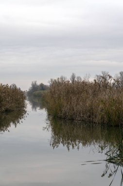 Sakin bir nehir manzarası, bulutlu bir gökyüzüne karşı kurumuş sazlıkları ve yapraksız ağaçları yansıtan suyu gösteriyor. Atmosfer barışçıl ve doğal, tipik sonbahar ayarları..