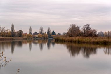 Ağaçları çevreleyen nehir suyu aynaları ve gri gökyüzünün altındaki tuhaf evler. Yaprakların sonbahar renkleri bu huzurlu yerde huzurlu bir atmosfer yaratır..