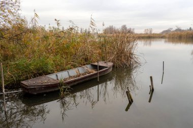 Eski ahşap bir tekne, uzun kamışlarla çevrili sakin bir nehirde sessizce oturur. Atmosfer sisli, sonbahar gününe huzur veriyor. Doğa huzurlu ve bozulmamış..