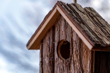 Kaba bir kuş yuvası, yumuşak bulutlardan oluşan bir arka planda ele geçirilir. Yapı, tüylü ziyaretçileri girişini keşfetmeye davet ederek huzur içinde asılı duruyor..
