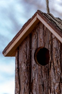 Doğal ahşaptan yapılmış kırsal bir kuş evi, sakin bir açık havada asılı duruyor. Ev yuvarlak bir girişe sahip ve yumuşak, bulanık bir arkaplan üzerine kuruludur..