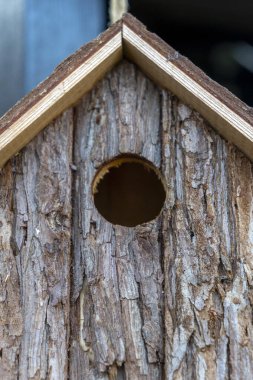 Doğal malzemelerden yapılmış ahşap bir kuş yuvasında yuvarlak bir giriş deliği bulunur. Bir bahçeye yerleştirilir, kuşların yuvalanması için bir davet alanı sağlar..