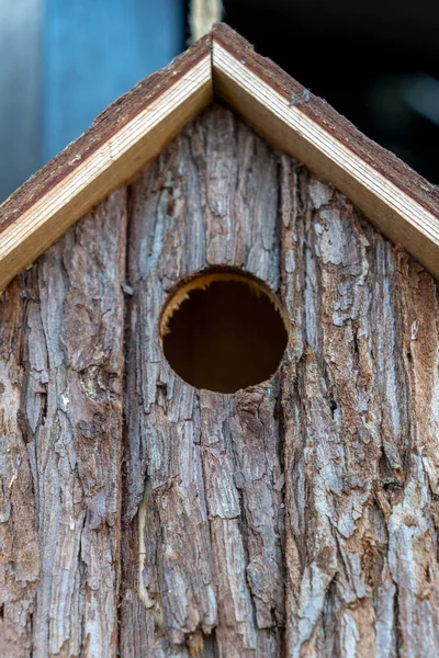 Doğal malzemelerden yapılmış ahşap bir kuş yuvasında yuvarlak bir giriş deliği bulunur. Bir bahçeye yerleştirilir, kuşların yuvalanması için bir davet alanı sağlar..