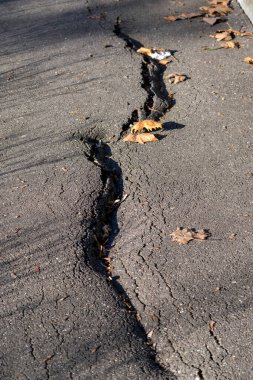 Şehir parkındaki kaldırımda bir çatlak var. Düşen yapraklar yakınlarda dinleniyor. Mevsim sonbahar ve güneş parlıyor..