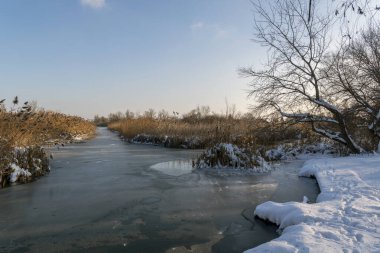 Kar kıyıları ve yakındaki bitkileri kaplarken bir nehir güneş ışığını yansıtır. Sahne soğuk bir kış gününü gösteriyor. Görünürde hiç insan yok..