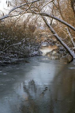 Nehir ağaçlar ve karla çevrili temiz bir yol gösteriyor. Buzlu su, dallardan süzülen kış güneşi gibi ağaçları yansıtır. Doğa sessiz ve hareketsiz..