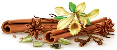Aromatic spices and vanilla clipart
