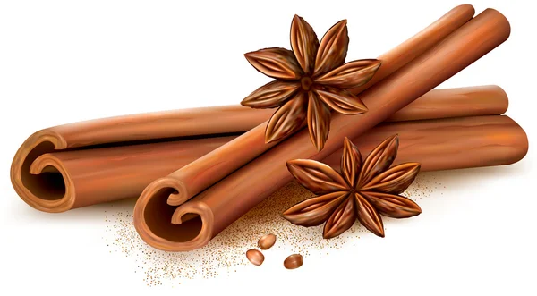 Cinnamon sticks and anise stars — Stock Vector