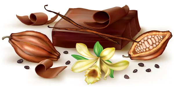 Chocolate de vainilla y cacao — Vector de stock