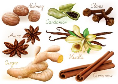 Different aromatic spices clipart