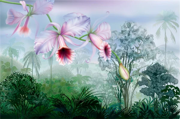Orchidées sur un fond de forêt tropicale — Image vectorielle