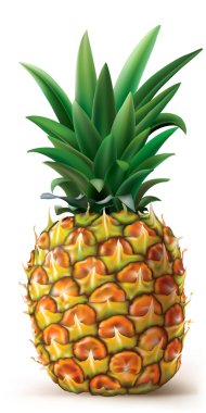Beyaz üzerine ananas.
