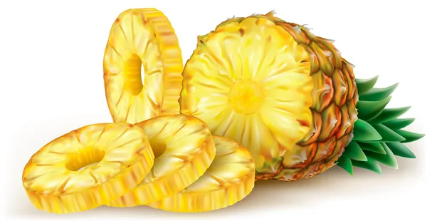 Ananas i okrągłe plastry — Wektor stockowy