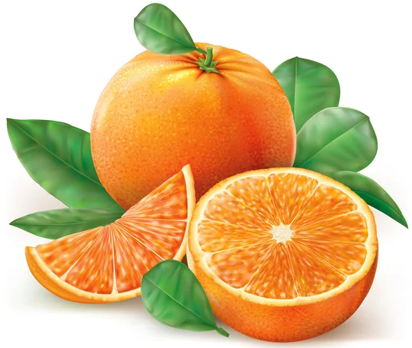 Groupe oranges fruits — Image vectorielle